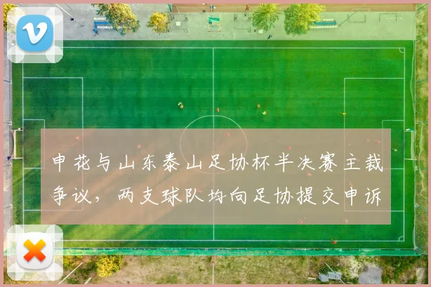 申花与山东泰山足协杯半决赛主裁争议,两支球队均向足协提交申诉